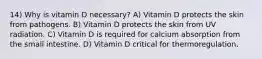 14) Why is vitamin D necessary? A) Vitamin D protects the skin from pathogens. B) Vitamin D protects the skin from UV radiation. C) Vitamin D is required for calcium absorption from the small intestine. D) Vitamin D critical for thermoregulation.