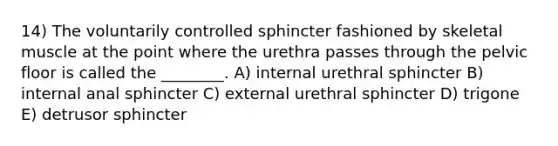 14) The voluntarily controlled sphincter fashioned by skeletal muscle at the point where the urethra passes through the pelvic floor is called the ________. A) internal urethral sphincter B) internal anal sphincter C) external urethral sphincter D) trigone E) detrusor sphincter