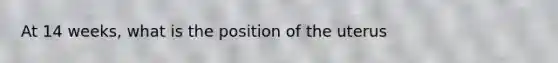 At 14 weeks, what is the position of the uterus