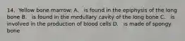 14.​​ ​​ ​​Yellow​ ​bone​ ​marrow: A.​ ​​ ​​ ​is​ ​found​ ​in​ ​the​ ​epiphysis​ ​of​ ​the​ ​long​ ​bone B.​ ​​ ​​ ​is​ ​found​ ​in​ ​the​ ​medullary​ ​cavity​ ​of​ ​the​ ​long​ ​bone C.​ ​​ ​​ ​is​ ​involved​ ​in​ ​the​ ​production​ ​of​ ​blood​ ​cells D.​ ​​ ​​ ​is​ ​made​ ​of​ ​spongy​ ​bone