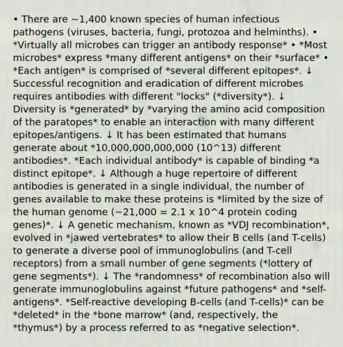 • There are ∼1,400 known species of human infectious pathogens (viruses, bacteria, fungi, protozoa and helminths). • *Virtually all microbes can trigger an antibody response* • *Most microbes* express *many different antigens* on their *surface* • *Each antigen* is comprised of *several different epitopes*. ↓ Successful recognition and eradication of different microbes requires antibodies with different "locks" (*diversity*). ↓ Diversity is *generated* by *varying the amino acid composition of the paratopes* to enable an interaction with many different epitopes/antigens. ↓ It has been estimated that humans generate about *10,000,000,000,000 (10^13) different antibodies*. *Each individual antibody* is capable of binding *a distinct epitope*. ↓ Although a huge repertoire of different antibodies is generated in a single individual, the number of genes available to make these proteins is *limited by the size of the human genome (~21,000 = 2.1 x 10^4 protein coding genes)*. ↓ A genetic mechanism, known as *VDJ recombination*, evolved in *jawed vertebrates* to allow their B cells (and T-cells) to generate a diverse pool of immunoglobulins (and T-cell receptors) from a small number of gene segments (*lottery of gene segments*). ↓ The *randomness* of recombination also will generate immunoglobulins against *future pathogens* and *self-antigens*. *Self-reactive developing B-cells (and T-cells)* can be *deleted* in the *bone marrow* (and, respectively, the *thymus*) by a process referred to as *negative selection*.