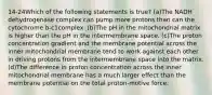 14-24Which of the following statements is true? (a)The NADH dehydrogenase complex can pump more protons than can the cytochrome b-c1complex. (b)The pH in the mitochondrial matrix is higher than the pH in the intermembrane space. (c)The proton concentration gradient and the membrane potential across the inner mitochondrial membrane tend to work against each other in driving protons from the intermembrane space into the matrix. (d)The difference in proton concentration across the inner mitochondrial membrane has a much larger effect than the membrane potential on the total proton-motive force.