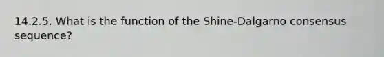 14.2.5. What is the function of the Shine-Dalgarno consensus sequence?