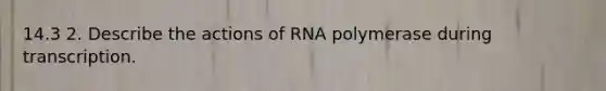 14.3 2. Describe the actions of RNA polymerase during transcription.