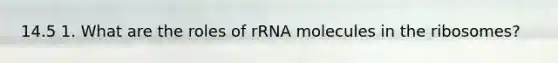 14.5 1. What are the roles of rRNA molecules in the ribosomes?