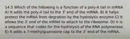 14.5 Which of the following is a function of a poly-A tail in mRNA A) It adds the poly-A tail to the 3' end of the mRNA. B) It helps protect the mRNA from degration by the hydrolytic enzyme C) It allows the 3' end of the mRNA to attach to the ribosome. D) It is a sequence that codes for the hydrolysis of the RNA polymerase. E) It adds a 7-methylguanosine cap to the 3' end of the mRNA.