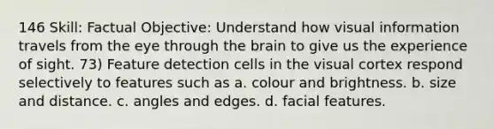 146 Skill: Factual Objective: Understand how visual information travels from the eye through the brain to give us the experience of sight. 73) Feature detection cells in the visual cortex respond selectively to features such as a. colour and brightness. b. size and distance. c. angles and edges. d. facial features.