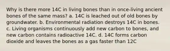 Why is there more 14C in living bones than in once-living ancient bones of the same mass? a. 14C is leached out of old bones by groundwater. b. Environmental radiation destroys 14C in bones. c. Living organisms continuously add new carbon to bones, and new carbon contains radioactive 14C. d. 14C forms carbon dioxide and leaves the bones as a gas faster than 12C