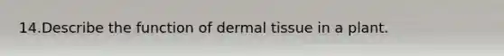 14.​Describe the function of dermal tissue in a plant.