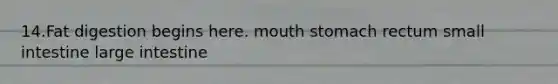 14.Fat digestion begins here. mouth stomach rectum small intestine large intestine