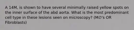 A 14M, is shown to have several minimally raised yellow spots on the inner surface of the abd aorta. What is the most predominant cell type in these lesions seen on microscopy? (M∅'s OR Fibroblasts)
