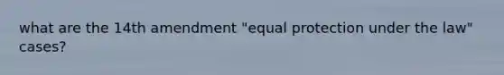 what are the 14th amendment "equal protection under the law" cases?