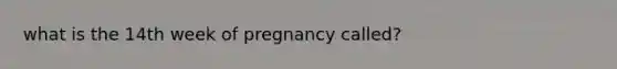 what is the 14th week of pregnancy called?