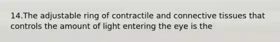 14.The adjustable ring of contractile and connective tissues that controls the amount of light entering the eye is the