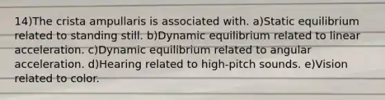 14)The crista ampullaris is associated with. a)Static equilibrium related to standing still. b)Dynamic equilibrium related to linear acceleration. c)Dynamic equilibrium related to angular acceleration. d)Hearing related to high-pitch sounds. e)Vision related to color.