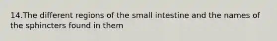 14.The different regions of the small intestine and the names of the sphincters found in them