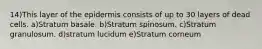 14)This layer of the epidermis consists of up to 30 layers of dead cells. a)Stratum basale. b)Stratum spinosum. c)Stratum granulosum. d)stratum lucidum e)Stratum corneum