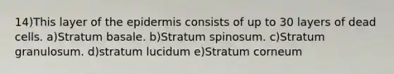 14)This layer of <a href='https://www.questionai.com/knowledge/kBFgQMpq6s-the-epidermis' class='anchor-knowledge'>the epidermis</a> consists of up to 30 layers of dead cells. a)Stratum basale. b)Stratum spinosum. c)Stratum granulosum. d)stratum lucidum e)Stratum corneum