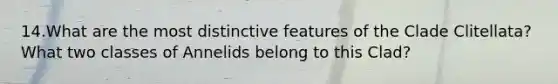 14.What are the most distinctive features of the Clade Clitellata? What two classes of Annelids belong to this Clad?