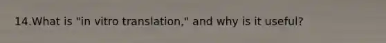 14.What is "in vitro translation," and why is it useful?