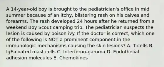 A 14-year-old boy is brought to the pediatrician's office in mid summer because of an itchy, blistering rash on his calves and forearms. The rash developed 24 hours after he returned from a weekend Boy Scout camping trip. The pediatrician suspects the lesion is caused by poison ivy. If the doctor is correct, which one of the following is NOT a prominent component in the immunologic mechanisms causing the skin lesions? A. T cells B. IgE-coated mast cells C. Interferon-gamma D. Endothelial adhesion molecules E. Chemokines