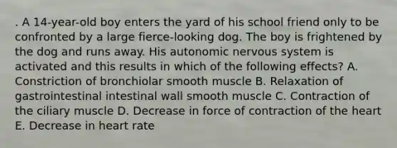 . A 14-year-old boy enters the yard of his school friend only to be confronted by a large fierce-looking dog. The boy is frightened by the dog and runs away. His autonomic nervous system is activated and this results in which of the following effects? A. Constriction of bronchiolar smooth muscle B. Relaxation of gastrointestinal intestinal wall smooth muscle C. Contraction of the ciliary muscle D. Decrease in force of contraction of the heart E. Decrease in heart rate