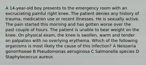 A 14-year-old boy presents to the emergency room with an excruciating painful right knee. The patient denies any history of trauma, medication use or recent illnesses. He is sexually active. The pain started this morning and has gotten worse over the past couple of hours. The patient is unable to bear weight on the knee. On physical exam, the knee is swollen, warm and tender on palpation with no overlying erythema. Which of the following organisms is most likely the cause of this infection? A Neisseria gonorrhoeae B Pseudomonas aeruginosa C Salmonella species D Staphylococcus aureus