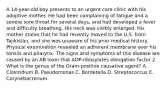 A 14-year-old boy presents to an urgent care clinic with his adoptive mother. He had been complaining of fatigue and a severe sore throat for several days, and had developed a fever and difficulty breathing. His neck was visibly enlarged. His mother states that he had recently moved to the U.S. from Tajikistan, and she was unaware of his prior medical history. Physical examination revealed an adherent membrane over his tonsils and pharynx. The signs and symptoms of this disease are caused by an AB toxin that ADP-ribosylates elongation factor 2. What is the genus of the Gram-positive causative agent? A. Clostridium B. Pseudomonas C. Bordetella D. Streptococcus E. Corynebacterium