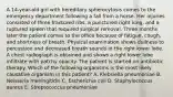 A 14-year-old girl with hereditary spherocytosis comes to the emergency department following a fall from a horse. Her injuries consisted of three fractured ribs, a punctured right lung, and a ruptured spleen that required surgical removal. Three months later the patient comes to the office because of fatigue, cough, and shortness of breath. Physical examination shows dullness to percussion and decreased breath sounds in the right lower lobe. A chest radiograph is obtained and shows a right lower lobe infiltrate with patchy opacity. The patient is started on antibiotic therapy. Which of the following organisms is the most likely causative organism in this patient? A. Klebsiella pneumoniae B. Neisseria meningitidis C. Escherichia coli D. Staphylococcus aureus E. Streptococcus pneumoniae