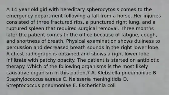 A 14-year-old girl with hereditary spherocytosis comes to the emergency department following a fall from a horse. Her injuries consisted of three fractured ribs, a punctured right lung, and a ruptured spleen that required surgical removal. Three months later the patient comes to the office because of fatigue, cough, and shortness of breath. Physical examination shows dullness to percussion and decreased breath sounds in the right lower lobe. A chest radiograph is obtained and shows a right lower lobe infiltrate with patchy opacity. The patient is started on antibiotic therapy. Which of the following organisms is the most likely causative organism in this patient? A. Klebsiella pneumoniae B. Staphylococcus aureus C. Neisseria meningitidis D. Streptococcus pneumoniae E. Escherichia coli