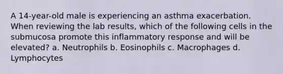 A 14-year-old male is experiencing an asthma exacerbation. When reviewing the lab results, which of the following cells in the submucosa promote this inflammatory response and will be elevated? a. Neutrophils b. Eosinophils c. Macrophages d. Lymphocytes