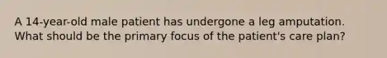 A 14-year-old male patient has undergone a leg amputation. What should be the primary focus of the patient's care plan?