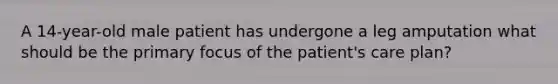 A 14-year-old male patient has undergone a leg amputation what should be the primary focus of the patient's care plan?