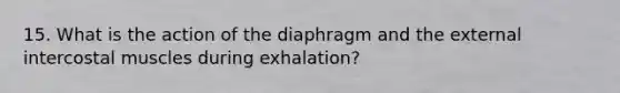 15. What is the action of the diaphragm and the external intercostal muscles during exhalation?