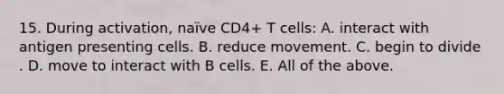 15. During activation, naïve CD4+ T cells: A. interact with antigen presenting cells. B. reduce movement. C. begin to divide . D. move to interact with B cells. E. All of the above.