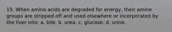 15. When amino acids are degraded for energy, their amine groups are stripped off and used elsewhere or incorporated by the liver into: a. bile. b. urea. c. glucose. d. urine.