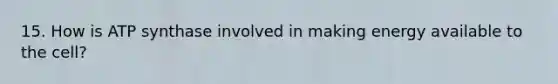 15. How is ATP synthase involved in making energy available to the cell?