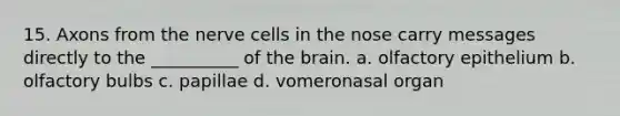 15. Axons from the nerve cells in the nose carry messages directly to the __________ of the brain. a. olfactory epithelium b. olfactory bulbs c. papillae d. vomeronasal organ