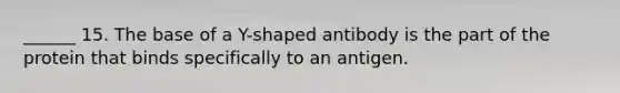 ______ 15. The base of a Y-shaped antibody is the part of the protein that binds specifically to an antigen.