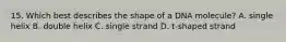 15. Which best describes the shape of a DNA molecule? A. single helix B. double helix C. single strand D. t-shaped strand