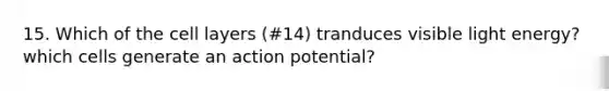 15. Which of the cell layers (#14) tranduces visible light energy? which cells generate an action potential?