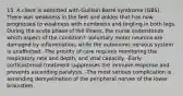 15. A client is admitted with Guillain-Barré syndrome (GBS). There was weakness in the feet and ankles that has now progressed to weakness with numbness and tingling in both legs. During the acute phase of the illness, the nurse understands which aspect of the condition? -Voluntary motor neurons are damaged by inflammation, while the autonomic nervous system is unaffected. -The priority of care requires monitoring the respiratory rate and depth, and vital capacity. -Early corticosteroid treatment suppresses the immune response and prevents ascending paralysis. -The most serious complication is ascending demyelination of the peripheral nerves of the lower brainstem.