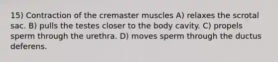 15) Contraction of the cremaster muscles A) relaxes the scrotal sac. B) pulls the testes closer to the body cavity. C) propels sperm through the urethra. D) moves sperm through the ductus deferens.