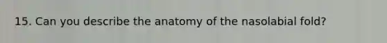 15. Can you describe the anatomy of the nasolabial fold?