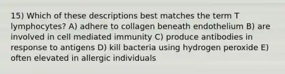 15) Which of these descriptions best matches the term T lymphocytes? A) adhere to collagen beneath endothelium B) are involved in cell mediated immunity C) produce antibodies in response to antigens D) kill bacteria using hydrogen peroxide E) often elevated in allergic individuals