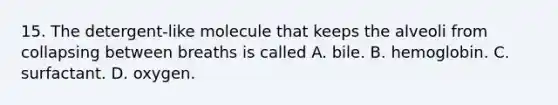 15. The detergent-like molecule that keeps the alveoli from collapsing between breaths is called A. bile. B. hemoglobin. C. surfactant. D. oxygen.