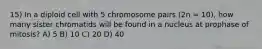 15) In a diploid cell with 5 chromosome pairs (2n = 10), how many sister chromatids will be found in a nucleus at prophase of mitosis? A) 5 B) 10 C) 20 D) 40