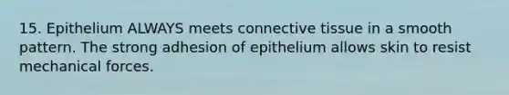 15. Epithelium ALWAYS meets connective tissue in a smooth pattern. The strong adhesion of epithelium allows skin to resist mechanical forces.