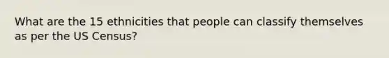 What are the 15 ethnicities that people can classify themselves as per the US Census?