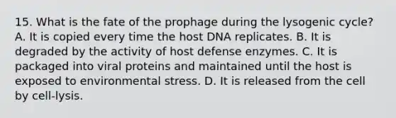 15. What is the fate of the prophage during the lysogenic cycle? A. It is copied every time the host DNA replicates. B. It is degraded by the activity of host defense enzymes. C. It is packaged into viral proteins and maintained until the host is exposed to environmental stress. D. It is released from the cell by cell-lysis.